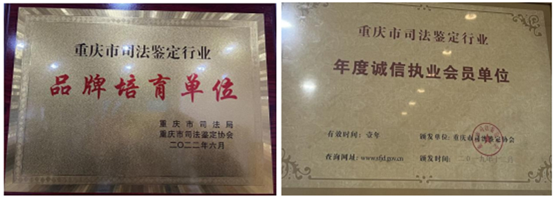 荣誉资质