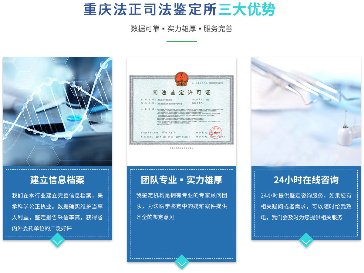 数据可靠 实力雄厚 服务完善